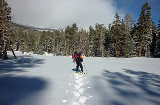 Lee in Round Valley